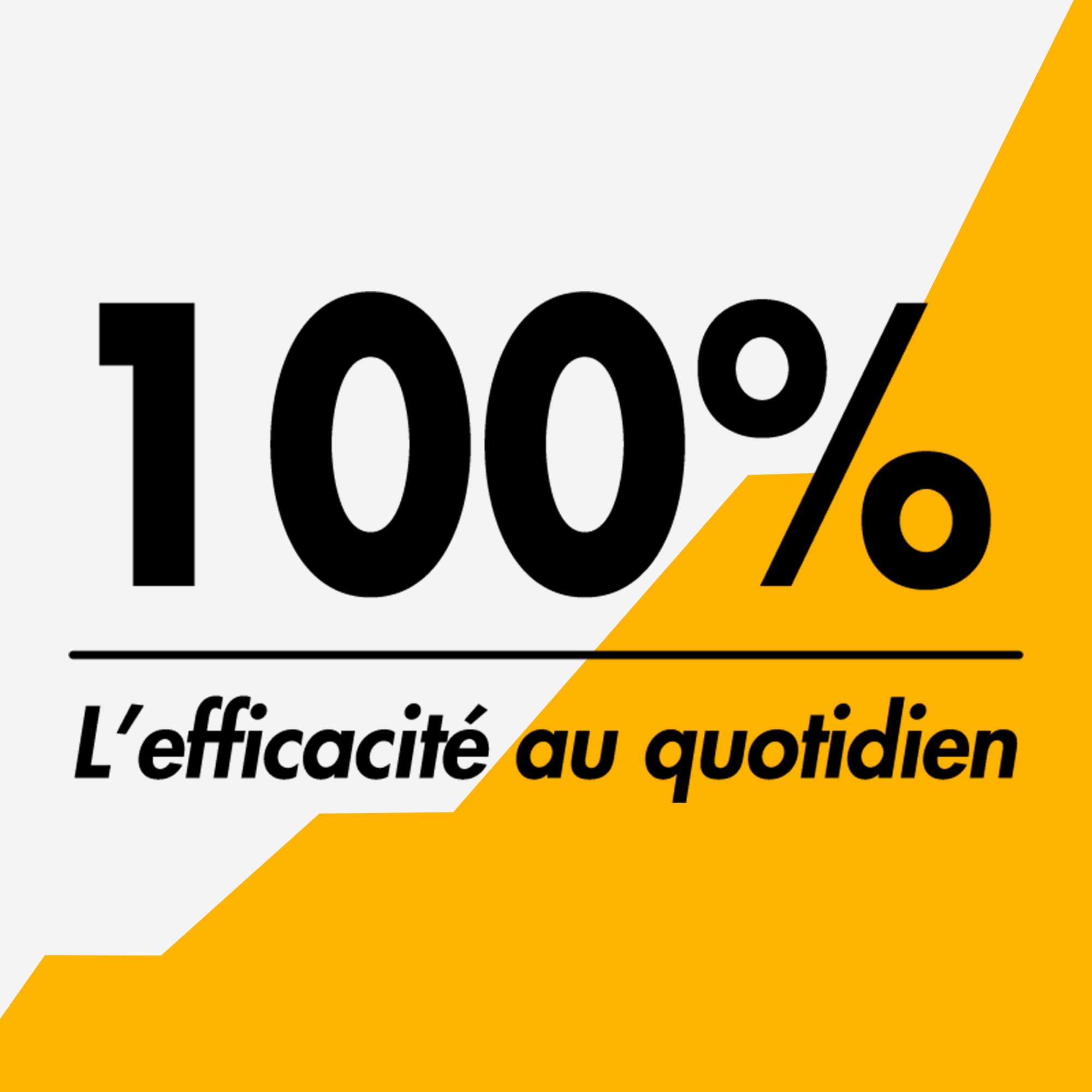 100% l'Efficacité au Quotidien