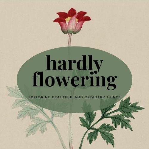 Hardly Flowering’s avatar