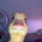 Pinn