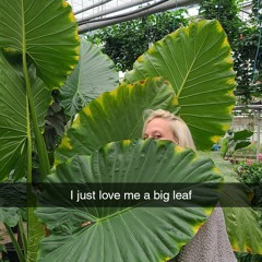 elliefhant3