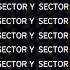 SECTOR Y
