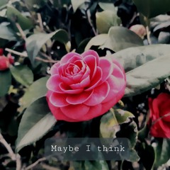 Maybe I think