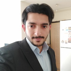 محمود الدلو