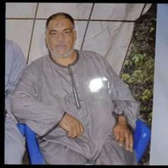 Elsayed Gaber Elmedames