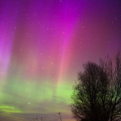 Northern Lights Vision |NLV|