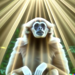 king of monky