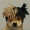 XXXEXTENTIONCORD