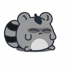 Raccoony :3
