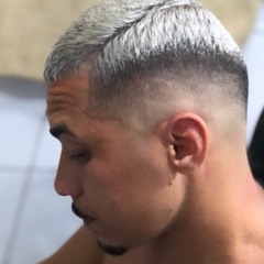 ale ribeiro