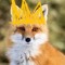 TheFoxKing