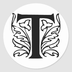 Mega T
