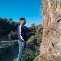 شيكا مصباح