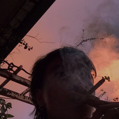 dptldeco