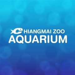 Chiangmai Zoo Aquarium