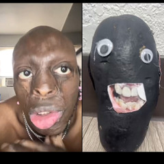 WhAleO