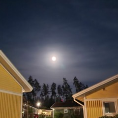 Martin Emil Lundh