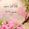 Mohsen Zaki
