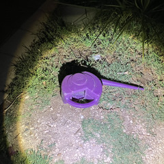 𝕶𝖍𝖆𝖓𝖑𝖊𝖒