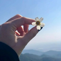 ムLIFEム
