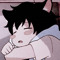 bleh_raccoon
