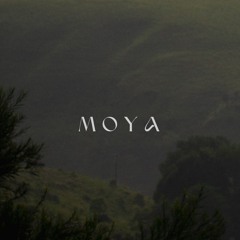 Heart Healer – 639 Hz