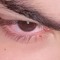iliya.vbl