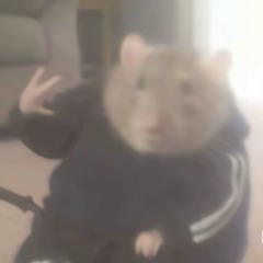Ryan