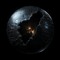 Space Wolk