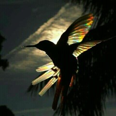 cantos medicina 🔥💫