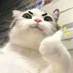 daotrongK