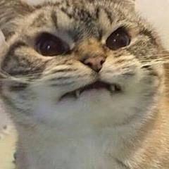 he ongry