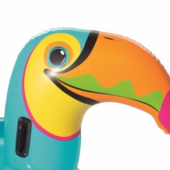 Federico Clifford Erba