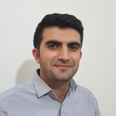 Hamidreza Saberi