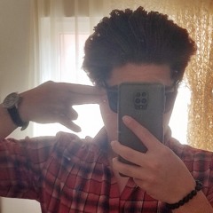M.noob.DOG