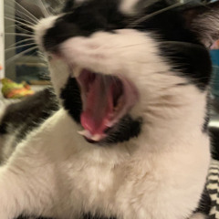 San Holo - I Still See You Face (Sutrified)