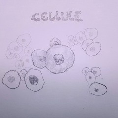 Cellule
