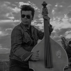 Carlos Vergara Alegría