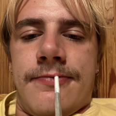 Grzegorr