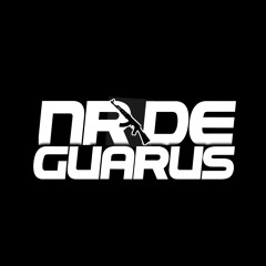 NR DE GUARUS / PERFIL 2☘︎