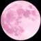 PINK MOON