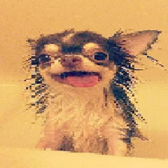 ueueuehehwjwjwjnw