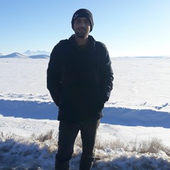 Javad Behyar