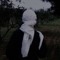 أيوب