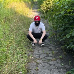 T Mo The $ludge Plug