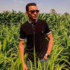 mohmady
