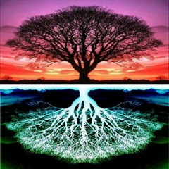 David Booth