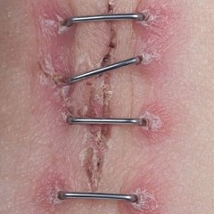 ‪꒰ঌᐢ.ˬ.ᐢ໒꒱