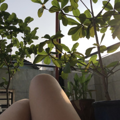 lilyandpomelo