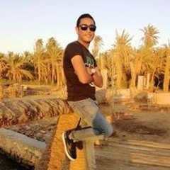 Wasem Ayman