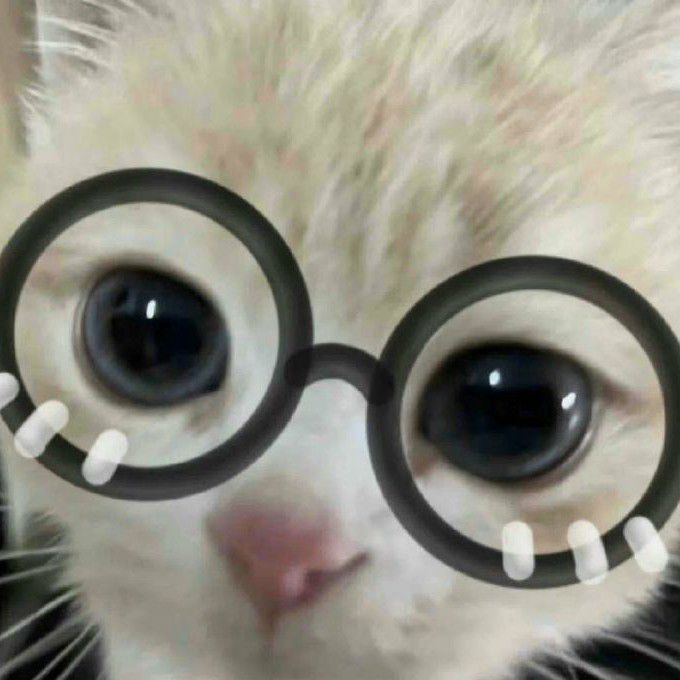 MeowD
